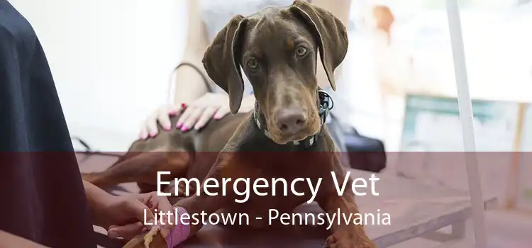 Emergency Vet Littlestown - Pennsylvania