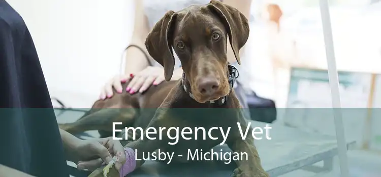 Emergency Vet Lusby - Michigan