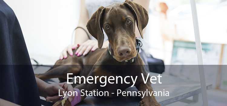 Emergency Vet Lyon Station - Pennsylvania