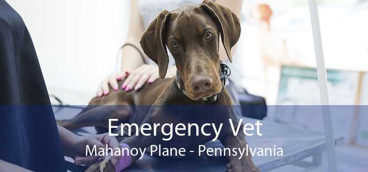 Emergency Vet Mahanoy Plane - Pennsylvania