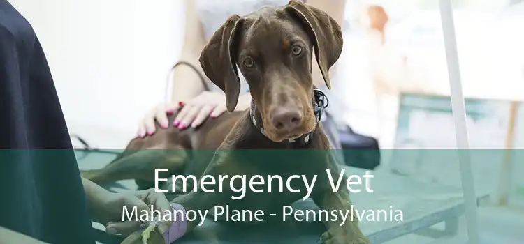 Emergency Vet Mahanoy Plane - Pennsylvania