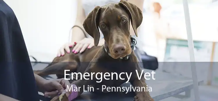 Emergency Vet Mar Lin - Pennsylvania