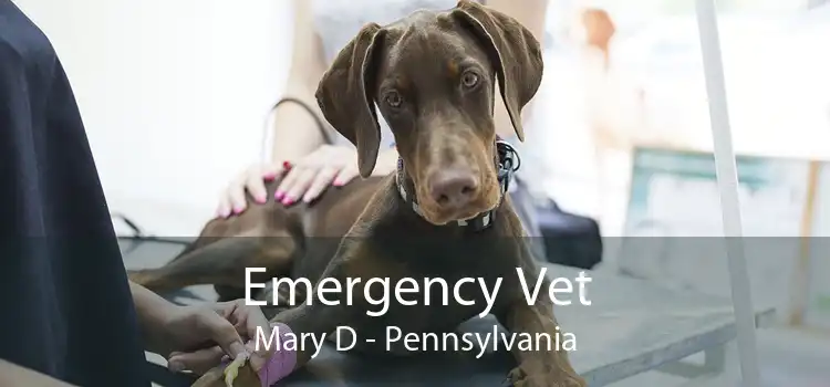 Emergency Vet Mary D - Pennsylvania
