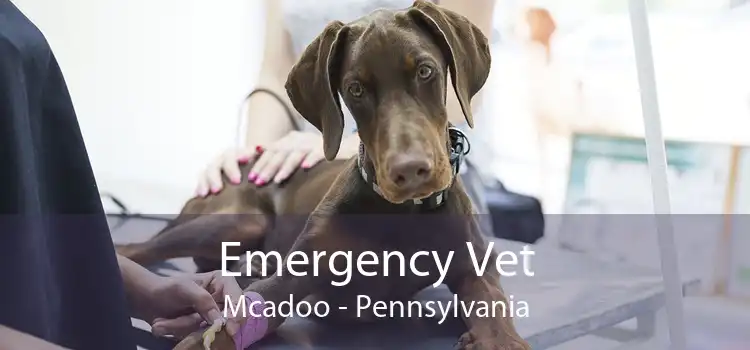 Emergency Vet Mcadoo - Pennsylvania