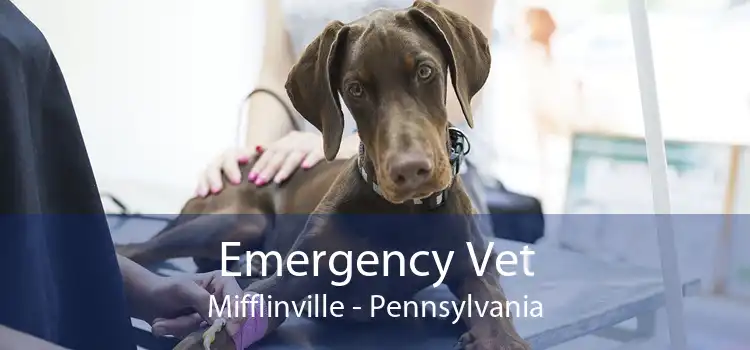 Emergency Vet Mifflinville - Pennsylvania