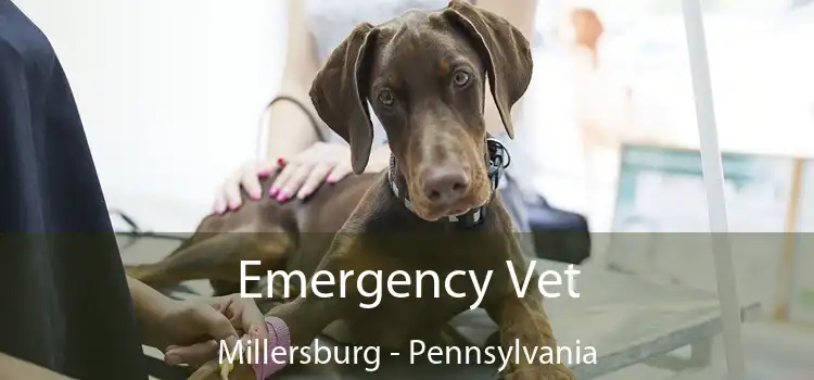 Emergency Vet Millersburg - Pennsylvania