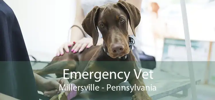 Emergency Vet Millersville - Pennsylvania