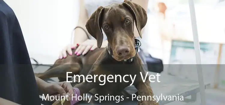 Emergency Vet Mount Holly Springs - Pennsylvania