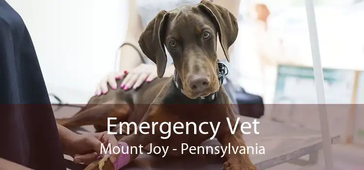 Emergency Vet Mount Joy - Pennsylvania