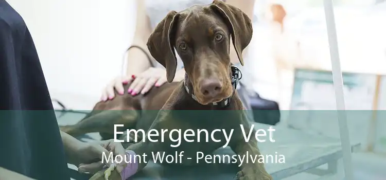 Emergency Vet Mount Wolf - Pennsylvania