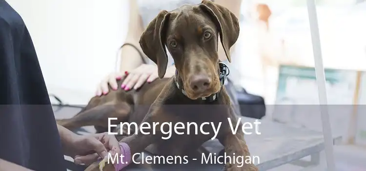 Emergency Vet Mt. Clemens - Michigan