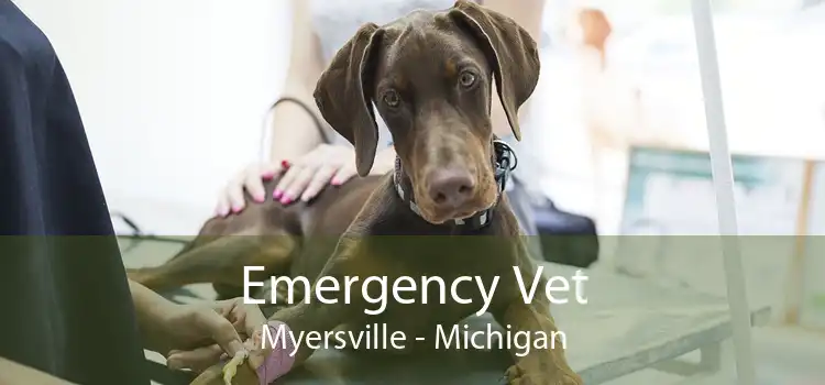 Emergency Vet Myersville - Michigan
