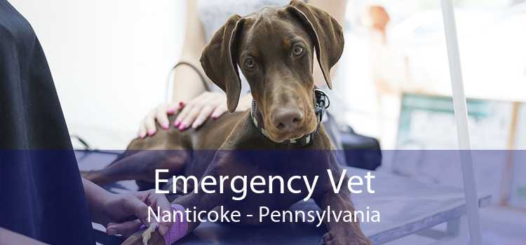 Emergency Vet Nanticoke - Pennsylvania