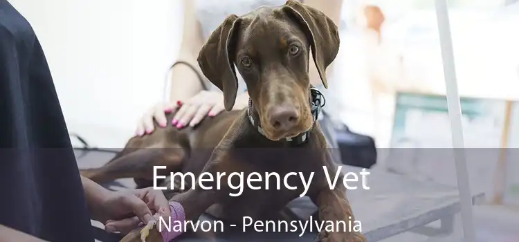 Emergency Vet Narvon - Pennsylvania