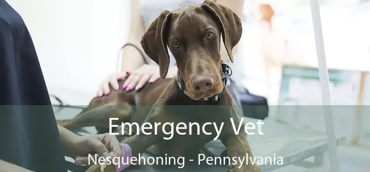 Emergency Vet Nesquehoning - Pennsylvania
