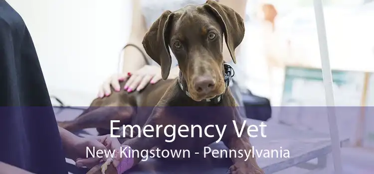 Emergency Vet New Kingstown - Pennsylvania