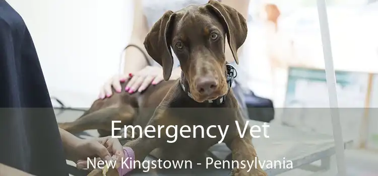 Emergency Vet New Kingstown - Pennsylvania