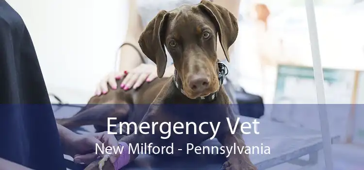 Emergency Vet New Milford - Pennsylvania
