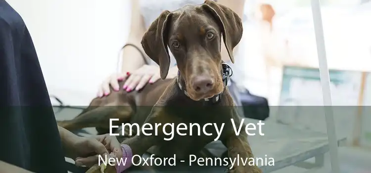 Emergency Vet New Oxford - Pennsylvania