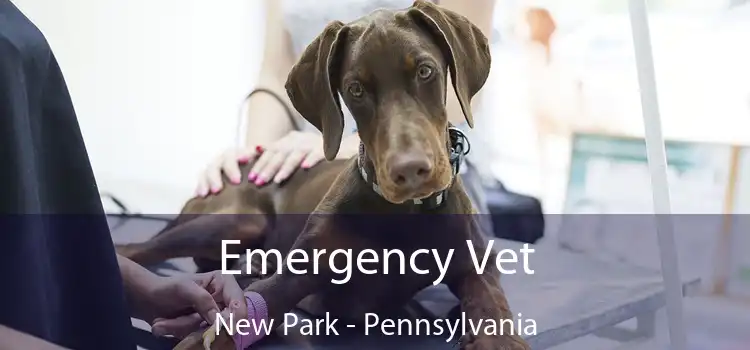 Emergency Vet New Park - Pennsylvania
