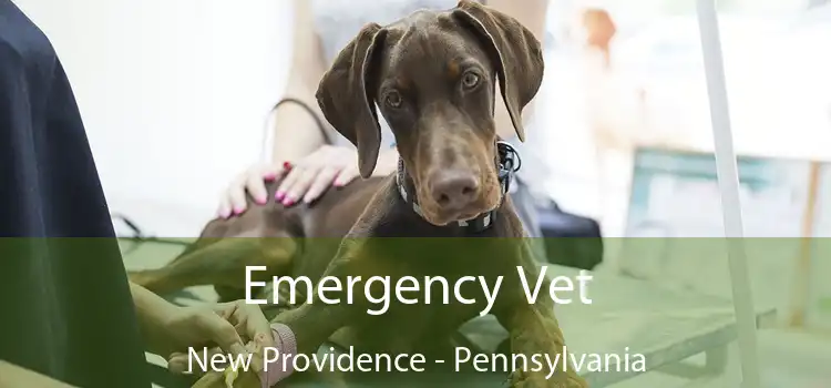 Emergency Vet New Providence - Pennsylvania