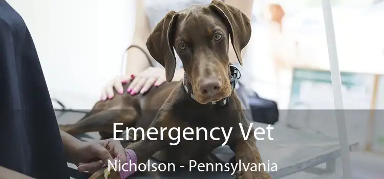 Emergency Vet Nicholson - Pennsylvania