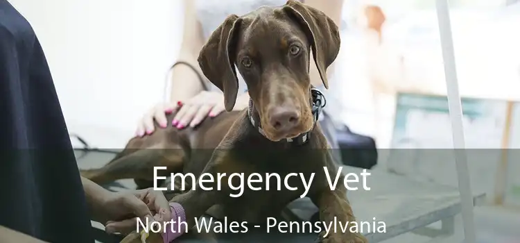 Emergency Vet North Wales - Pennsylvania