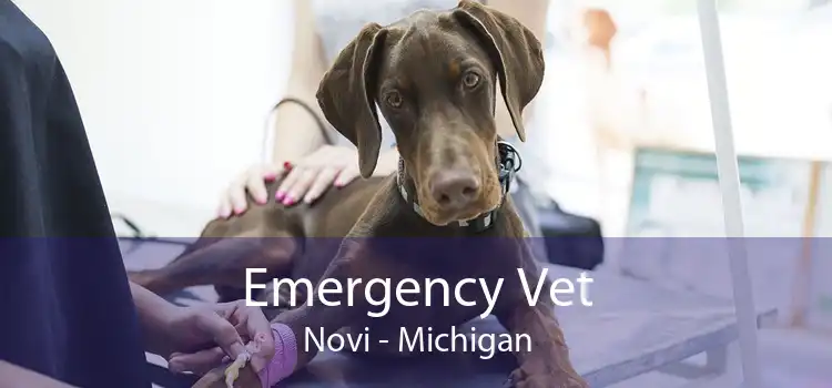 Emergency Vet Novi - Michigan