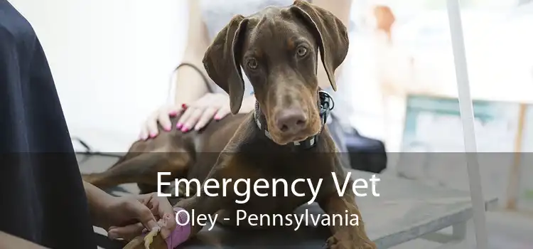 Emergency Vet Oley - Pennsylvania