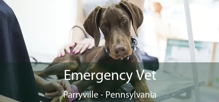 Emergency Vet Parryville - Pennsylvania