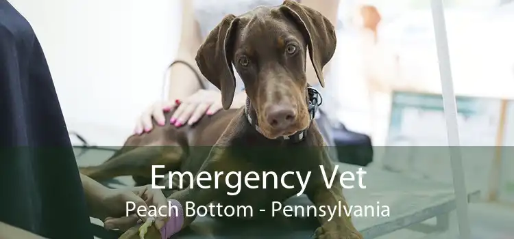 Emergency Vet Peach Bottom - Pennsylvania