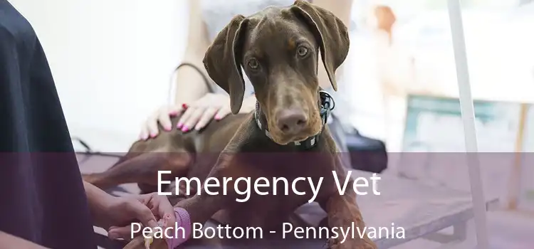 Emergency Vet Peach Bottom - Pennsylvania
