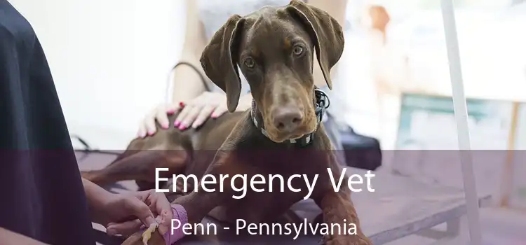 Emergency Vet Penn - Pennsylvania