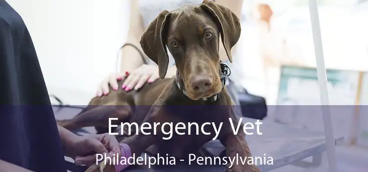 Emergency Vet Philadelphia - Pennsylvania