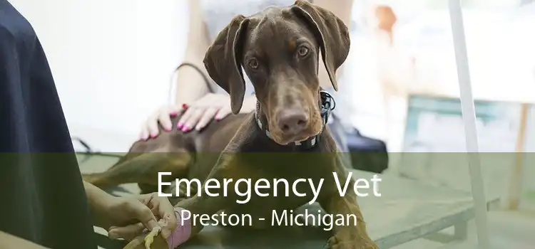 Emergency Vet Preston - Michigan