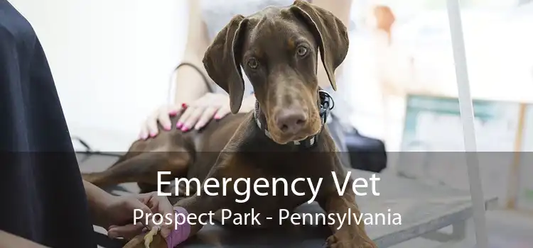 Emergency Vet Prospect Park - Pennsylvania