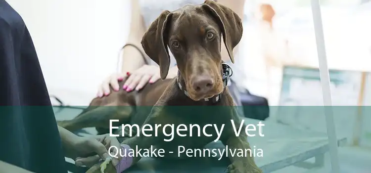 Emergency Vet Quakake - Pennsylvania