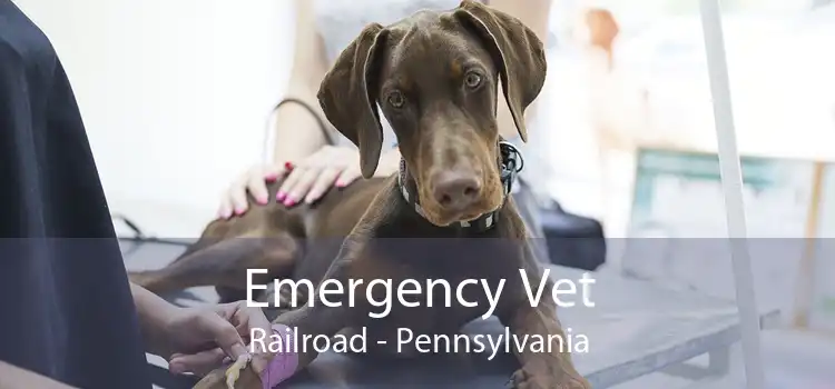 Emergency Vet Railroad - Pennsylvania