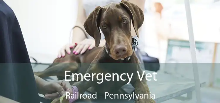 Emergency Vet Railroad - Pennsylvania