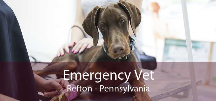 Emergency Vet Refton - Pennsylvania
