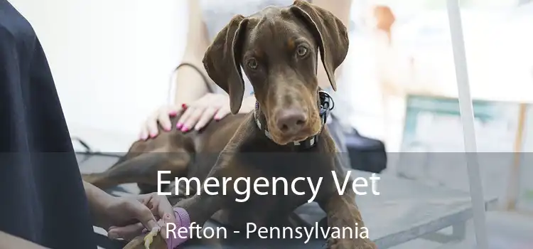 Emergency Vet Refton - Pennsylvania