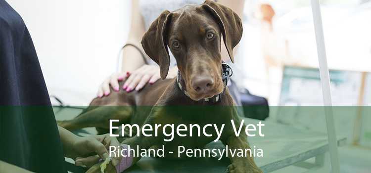 Emergency Vet Richland - Pennsylvania