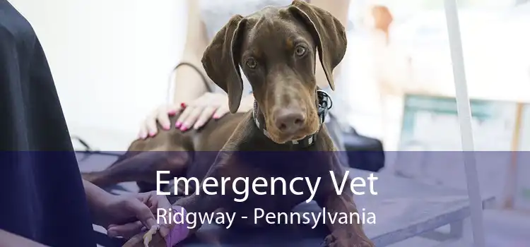 Emergency Vet Ridgway - Pennsylvania