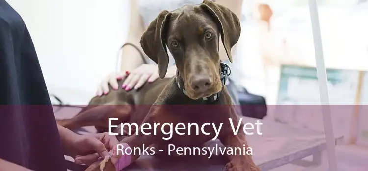 Emergency Vet Ronks - Pennsylvania