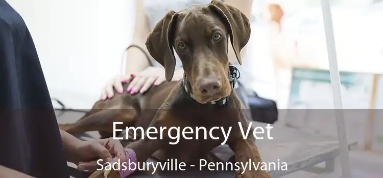 Emergency Vet Sadsburyville - Pennsylvania
