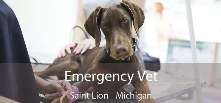 Emergency Vet Saint Lion - Michigan