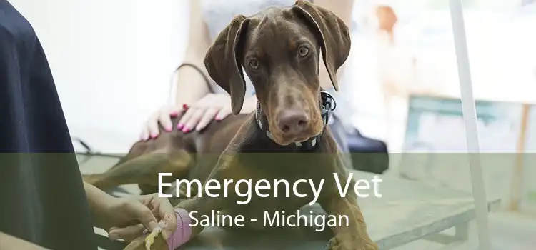 Emergency Vet Saline - Michigan