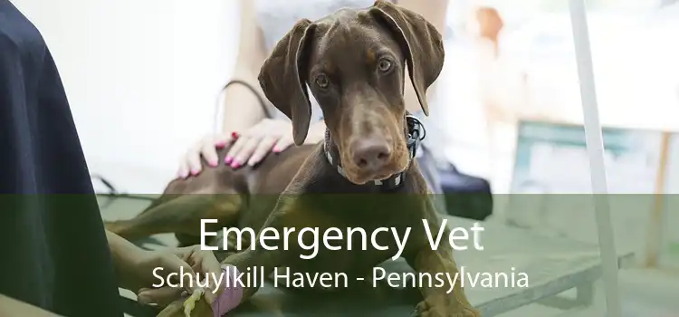 Emergency Vet Schuylkill Haven - Pennsylvania
