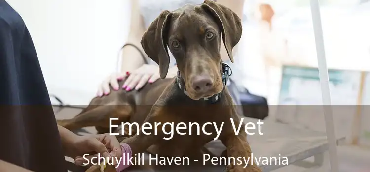 Emergency Vet Schuylkill Haven - Pennsylvania