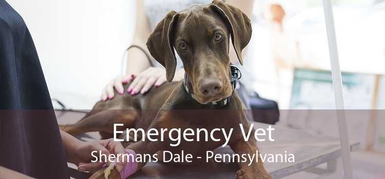 Emergency Vet Shermans Dale - Pennsylvania